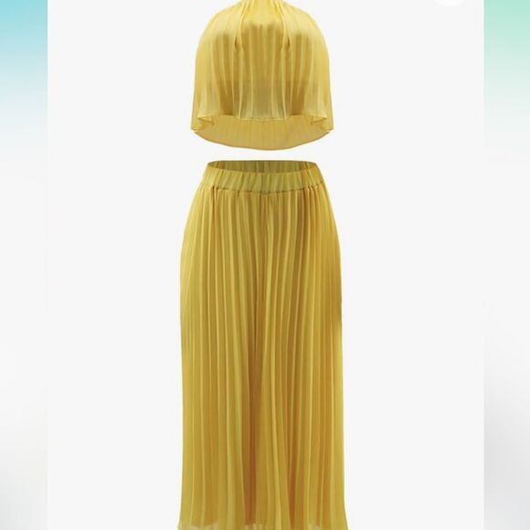 Two Piece Set Pleated Maxi Skirt and Crop Top - Picture 4 of 8